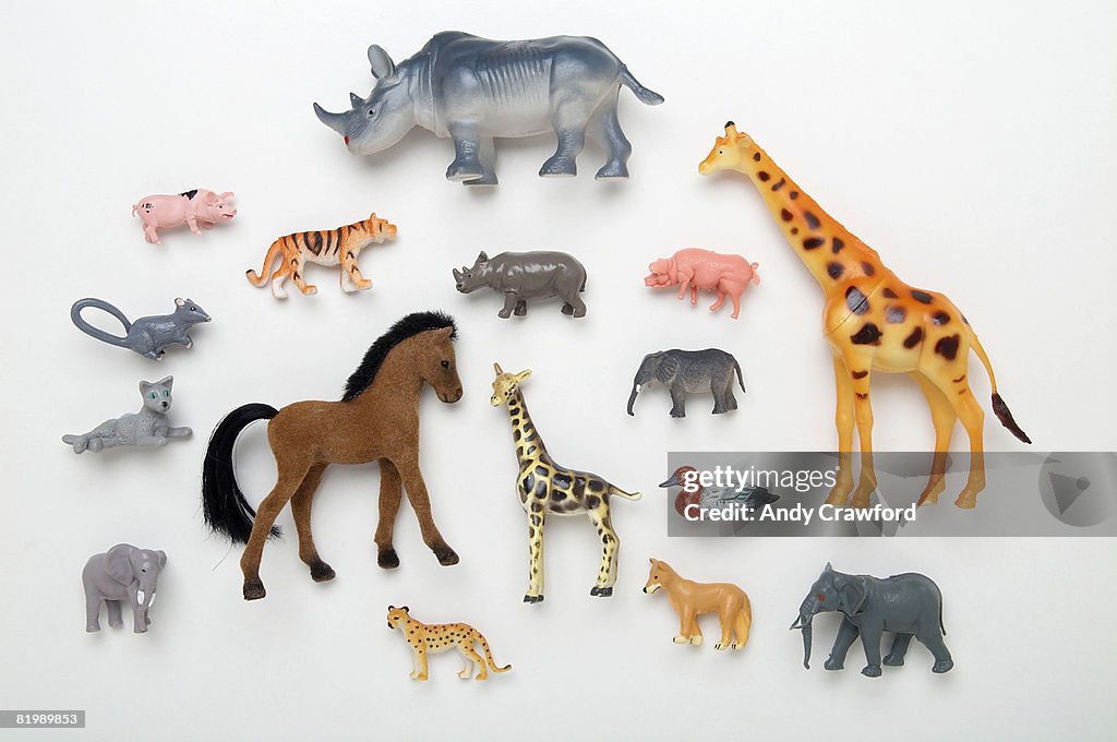 Rhinoceros, giraffe, horse, duck, elephant, pig, tiger and leopard toys