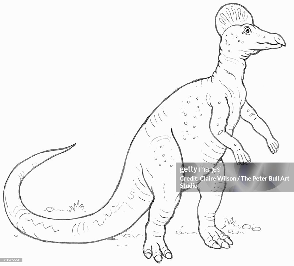 Line drawing of a Corythosaurus dinosaur