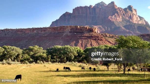 Redd Ranches Utah Red Rock Ranch Photos and Premium High Res Pictures - Getty Images