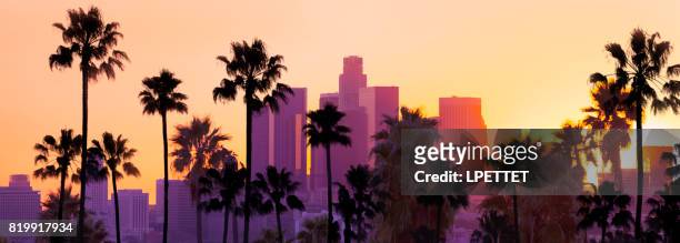 downtown los angeles - hollywood california stock pictures, royalty-free photos & images