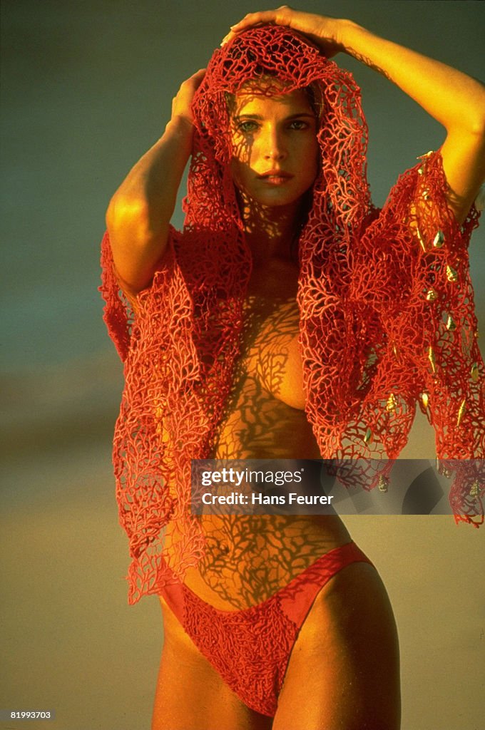 Model Stephanie Seymour is photographed for the 1991 Sports... News