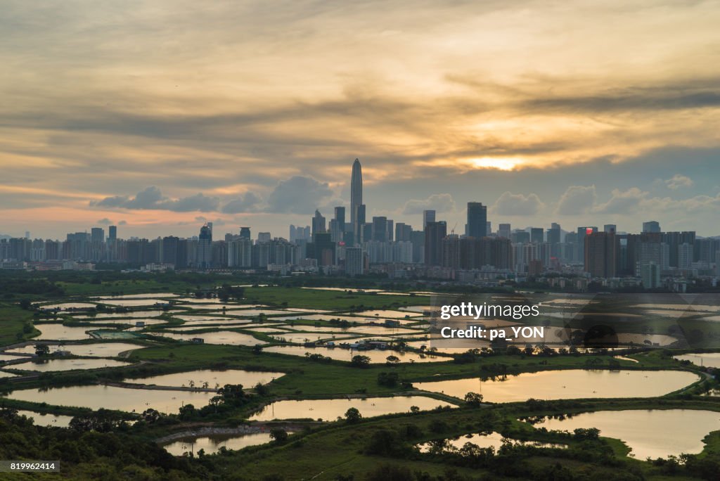 Shenzhen city