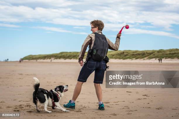 playing fetch - northumberland stock pictures, royalty-free photos & images