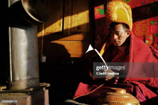 buddhist monks in class,gulug (yellow hat) - tibet stock pictures, royalty-free photos & images