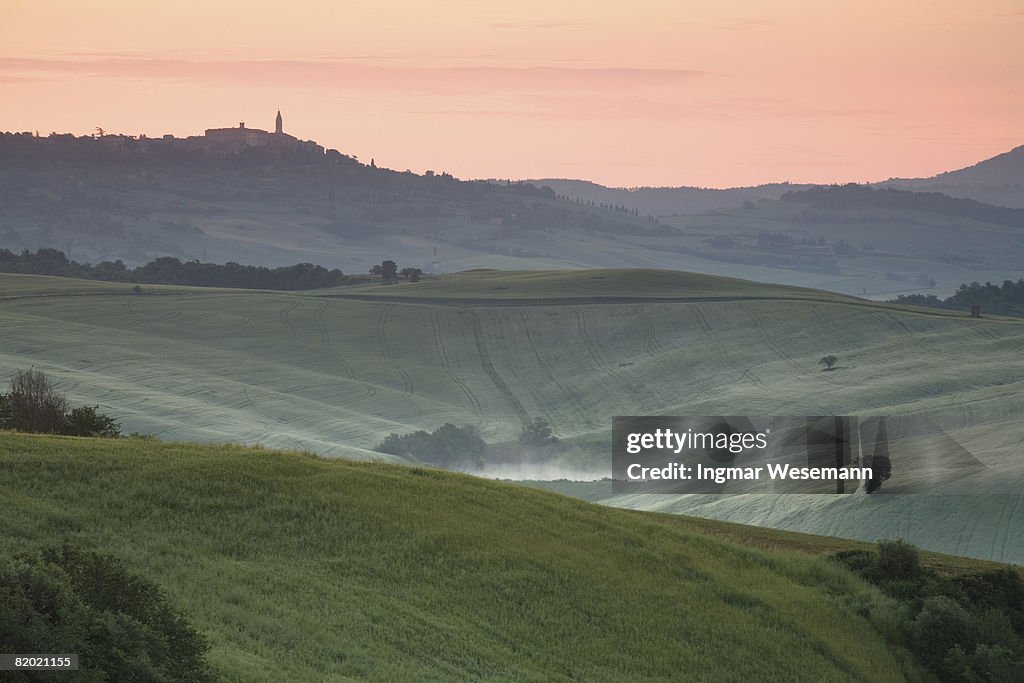 Tuscany 2008