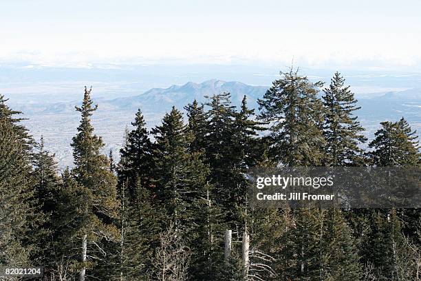 view from sandia peak in albuquerque, new mexico. - pico sandia - fotografias e filmes do acervo