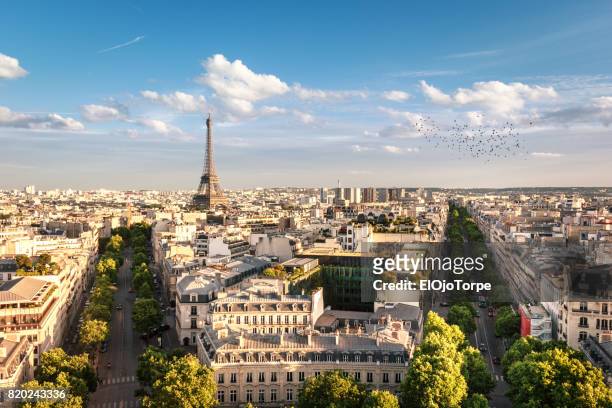 view of eiffel tower between trees, paris, france - paris stock-fotos und bilder