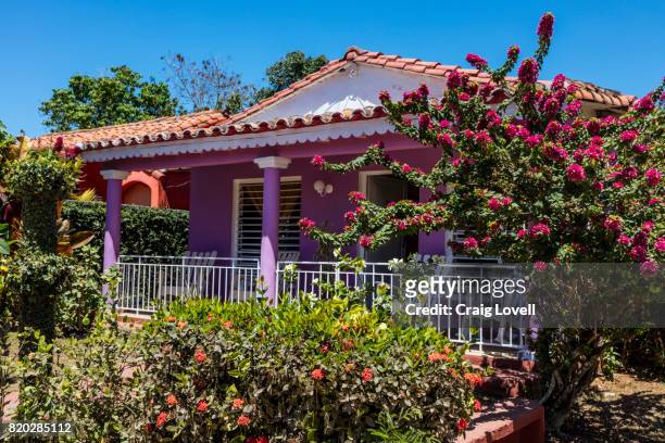 cuba: travel - vinales stock pictures, royalty-free photos & images