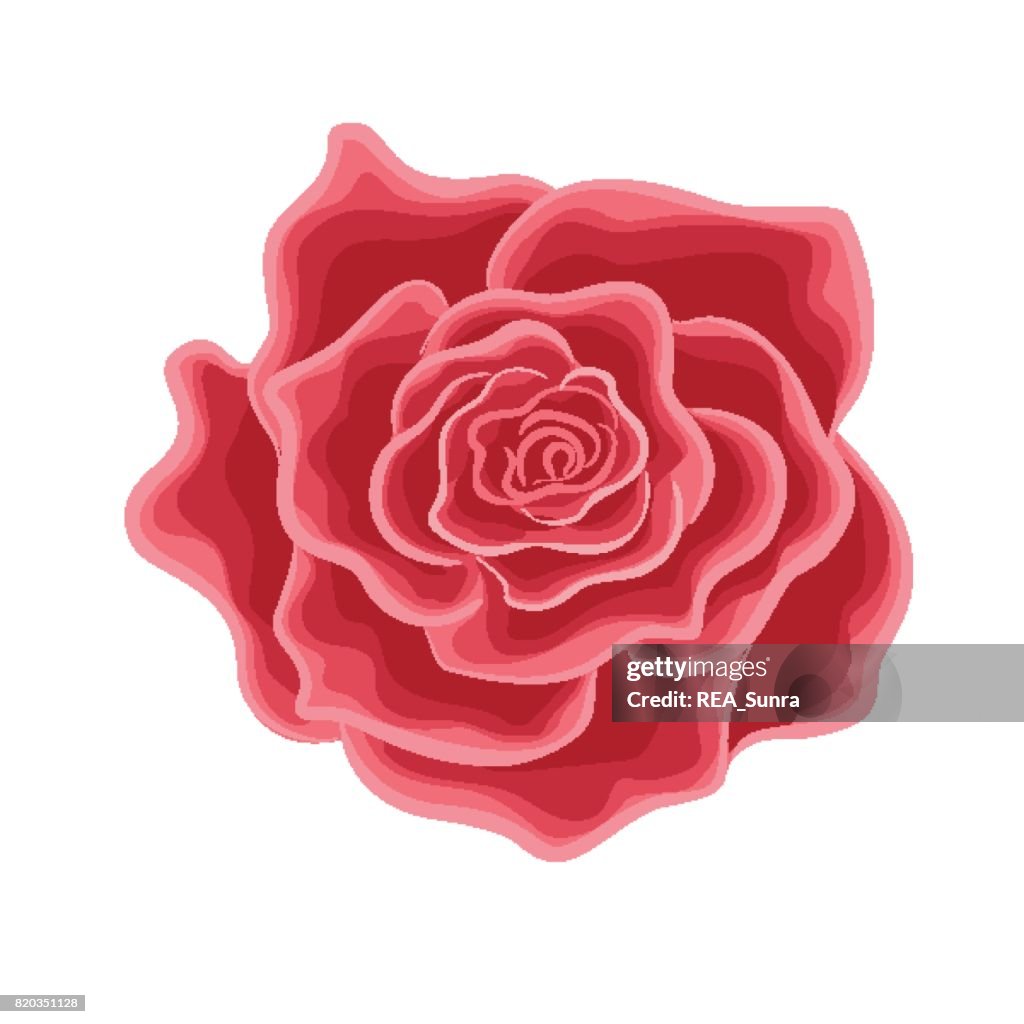A Flower Of A Red Rose In Cartoon Style High-Res Vector Graphic - Getty  Images