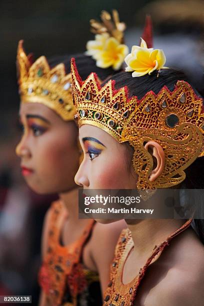 balinese girls. - balinese headdress stock pictures, royalty-free photos & images
