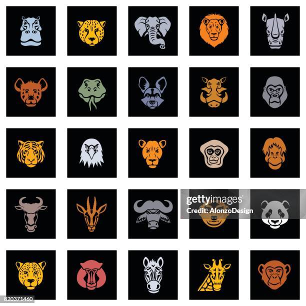 ilustraciones, imágenes clip art, dibujos animados e iconos de stock de caras animales icono - elephant face