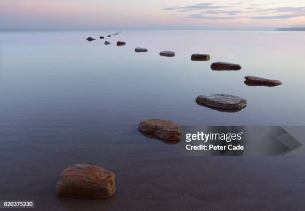 stepping stones in water - stepping stone stock pictures, royalty-free photos & images