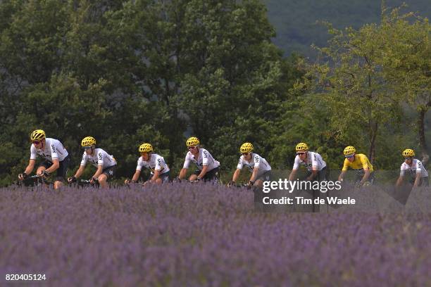 104th Tour de France 2017 / Stage 19 Peloton / Team Sky / Christopher FROOME Yellow Leader Jersey / Lavendel Flowers / Landscape / Vasil KIRYIENKA /...