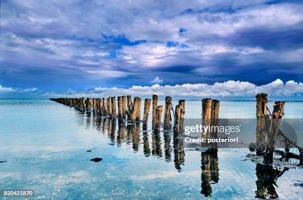 lot of wooden poles standing in water - posteriori stock pictures, royalty-free photos & images