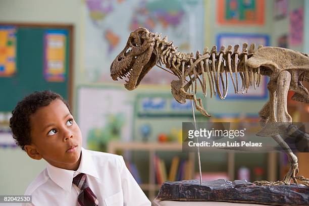 african- american boy studying t-rex fossil - dinosaur skeleton stock pictures, royalty-free photos & images