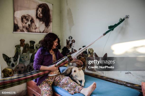 Aliciana Cabral is a 59 years old woman, who lives in the favela in the city of Juiz de Fora, around 200 km from Rio de Janeiro, Brazil. All her life...