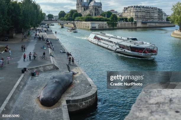 Demostration against the whales hunting: an association made a giant whales in front of the Notre Dame Cathedral in Paris on 21 July 2017.