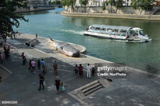 Demostration against the whales hunting: an association made a giant whales in front of the Notre Dame Cathedral in Paris on 21 July 2017.