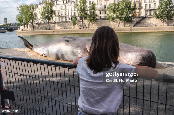 Demostration against the whales hunting: an association made a giant whales in front of the Notre Dame Cathedral in Paris on 21 July 2017.