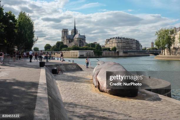 Demostration against the whales hunting: an association made a giant whales in front of the Notre Dame Cathedral in Paris on 21 July 2017.