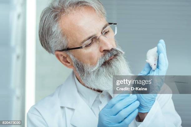 Human Lab Rat Photos and Premium High Res Pictures - Getty Images