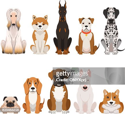 Dibujos De Perros Divertidos En Estilo De Dibujos Animados Animales  Domésticos Ilustración de stock - Getty Images