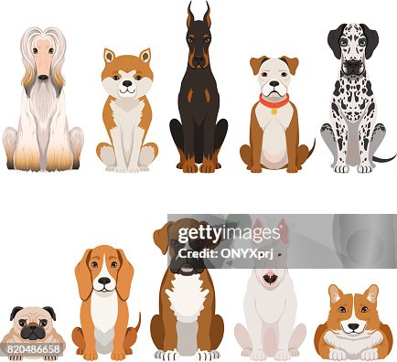 Dibujos De Perros Divertidos En Estilo De Dibujos Animados Animales Domésticos Ilustración de stock - Getty Images Dibujos De Perros Divertidos En Estilo De Dibujos Animados Animales Domésticos Ilustración de stock - Getty Images