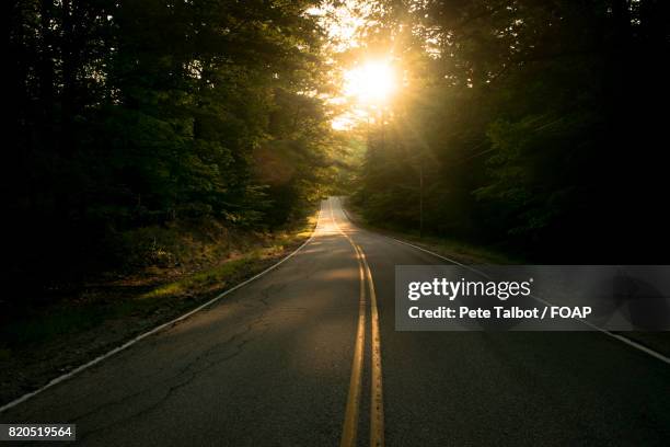 empty road in forest - one way stock pictures, royalty-free photos & images