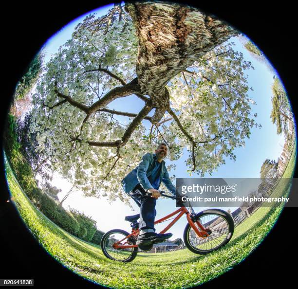 man riding bmx bike under blossom tree - crisis de los cuarenta fotografías e imágenes de stock