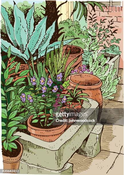 garden sketch vector illustration - agave stock illustrations