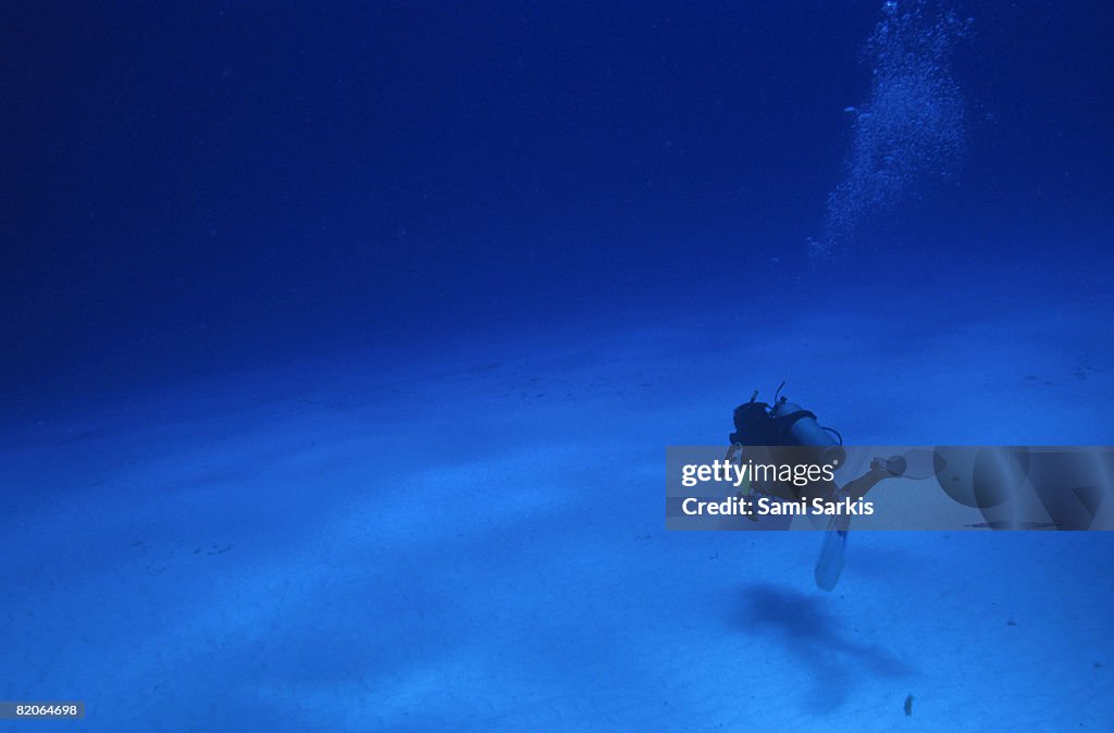 Diver swimming on  sandy seabed, Cozumel Island, Mexico