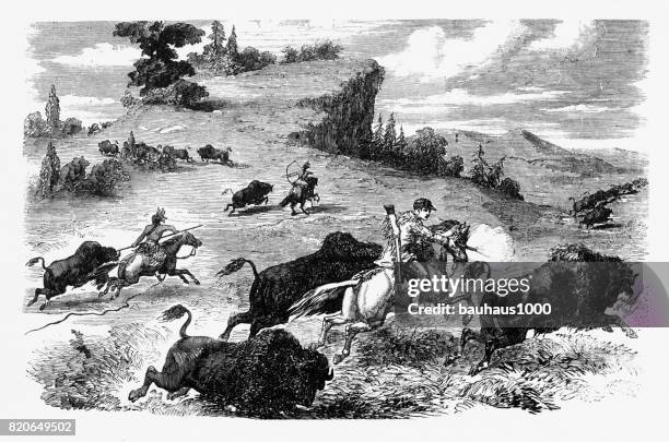 poineers und indianer jagen bison gravur, 1857 - apache culture stock-grafiken, -clipart, -cartoons und -symbole