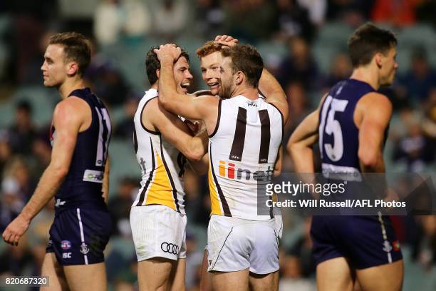 Tim O'Brien of the Hawks celebrates after scoring a goal during the round 18 AFL match between the Fremantle Dockers and the Hawthorn Hawks at Domain...