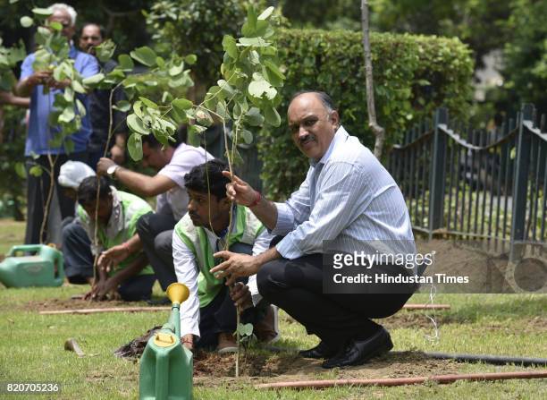 Chairman Naresh Kumar plants a sapling at Ravinder Nagar, on July 22, 2017 in New Delhi, India. The New Delhi Municipal Council roped in school...
