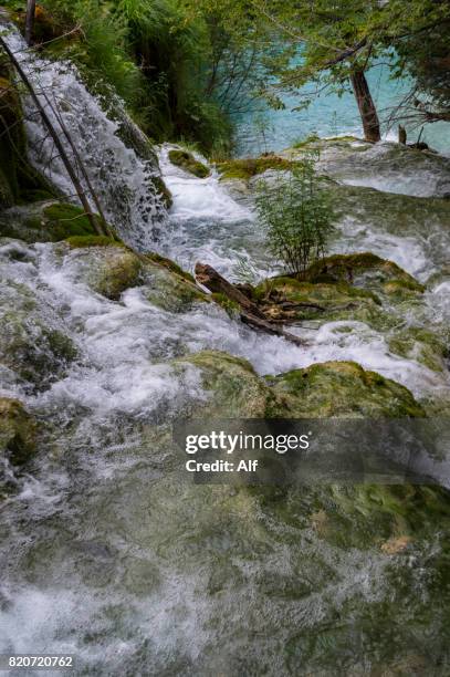 plitvice lakes national park, (detail of waterfalls), croatia - kommunen lika senj bildbanksfoton och bilder