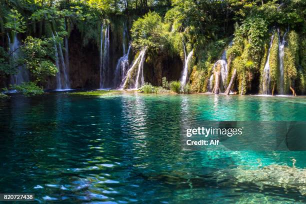 turquoise lake in plitvice lakes national park, croatia - kommunen lika senj bildbanksfoton och bilder