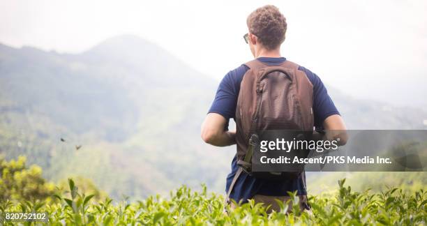 hiking in the tea plantations - chiayi stock pictures, royalty-free photos & images