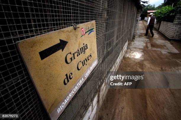 Sign shows the way to a guinea pig farm in Pachacamac, 40 kms south of Lima, on July 23 2008. Owner Ulises Moreno runs Casa Blanca biofarm where...