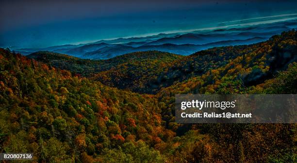 woods - pisgah national forest stock pictures, royalty-free photos & images