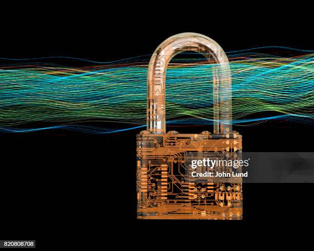 Lock That Data 128,805 Picture Of A Lock Stock Photos, High-Res Pictures, and Images ...
