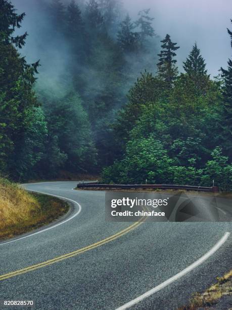 winding road travel through the hoh rainforest in the fog,washington - washington state road stock pictures, royalty-free photos & images