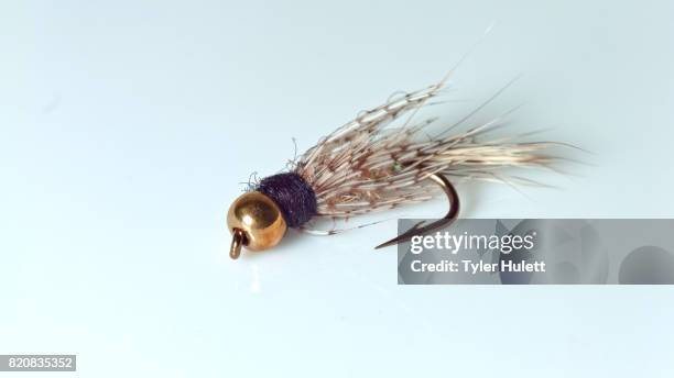 fishing fly gold ribbed hares ear flyfishing craftsmanship hook flies - portland fishing stock pictures, royalty-free photos & images