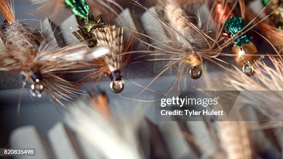 Box of fishing flies for flyfishing fly fishing 3 Box of fishing flies for flyfishing fly fishing 3