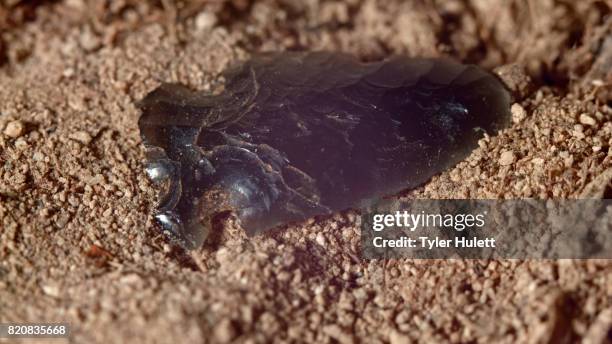 close up of native american obsidian arrowhead paiute indian stone tool in dirt from oregon great basin desert - punta di freccia foto e immagini stock