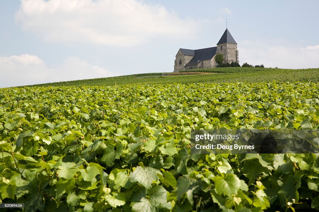 Church on Hill Surrounded by Vineyard