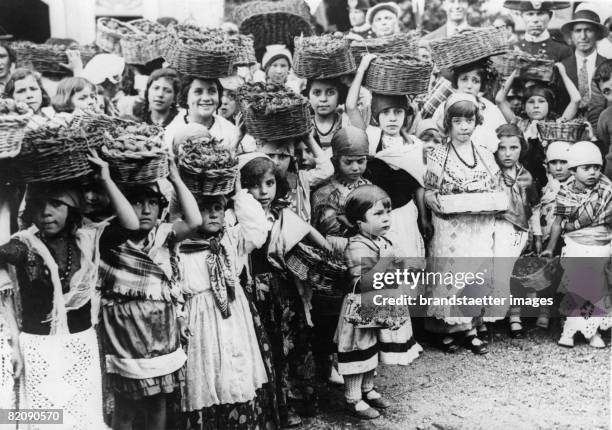 Strawberry festival in Nemi near Rom, Italy, Photograph, Around 1930 [Erdbeerfest in Nemi bei Rom, Italien, Photographie, Um 1930]