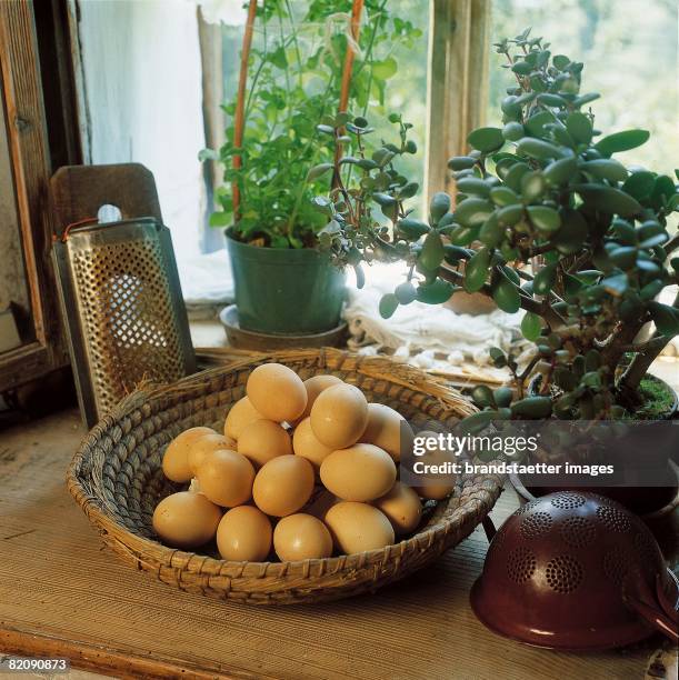 Eggs in a basket in front of a window, Surrounded by indoor palnts and kitchenware, Gr?nhof in Siebenh?f in the Austrian Waldviertel, Photograph,...