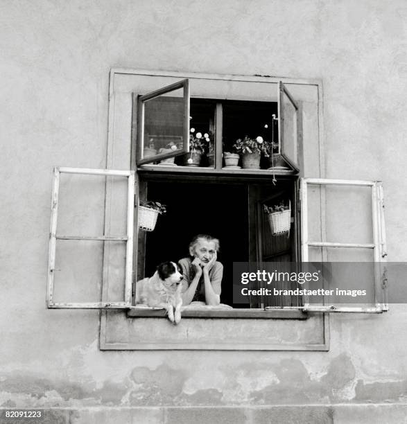 An old Woman and her dog, Vienna, Photograph, Around 1960 [Eine alte Frau und ihr Hund, Wien, Photographie, Um 1960]