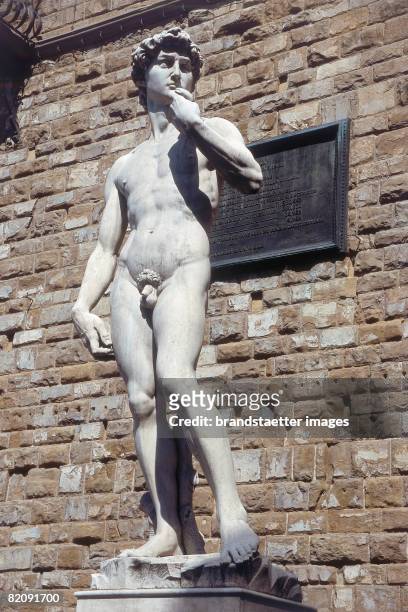 Copy of "David" by Michelangelo Buonarroti at the Piazza della Signoria in Florence, Photography, Italy, 2005 [Die Kopie des David von Michelangelo...