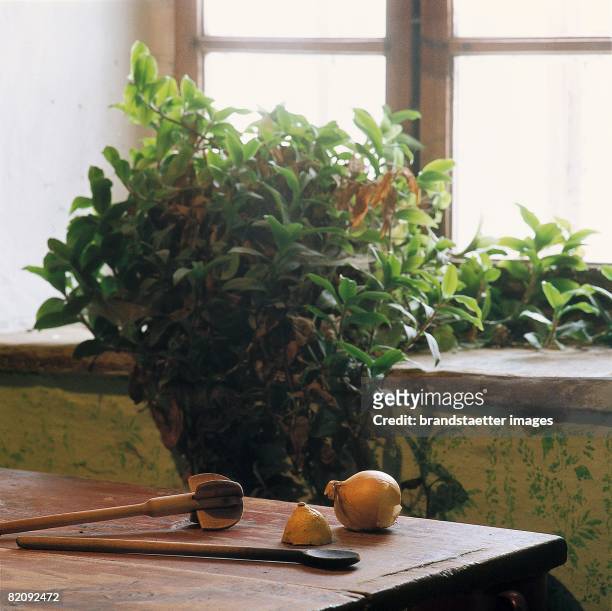 Wooden beater and spoon, as well as half a lemon and an onion on a table in front of a window, With a plant in the background, Homestead in Streith...